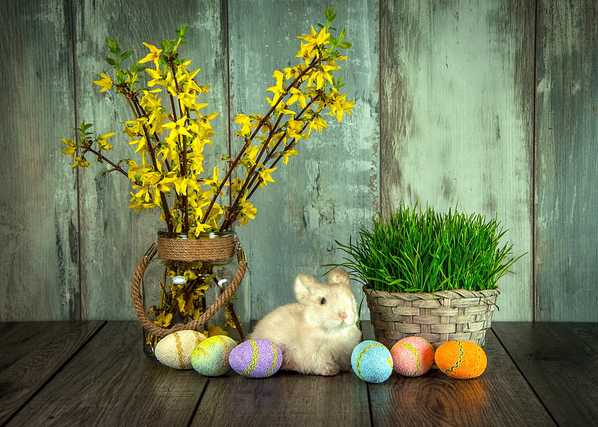 Cute Rabbit With Easter Eggs And Spring Flowers