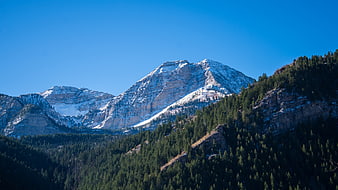 Snow-Capped Mountain Peak with Pine Forest and Blue Sky