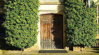 Historic Wooden Doorway Framed By Lush Green Ivy