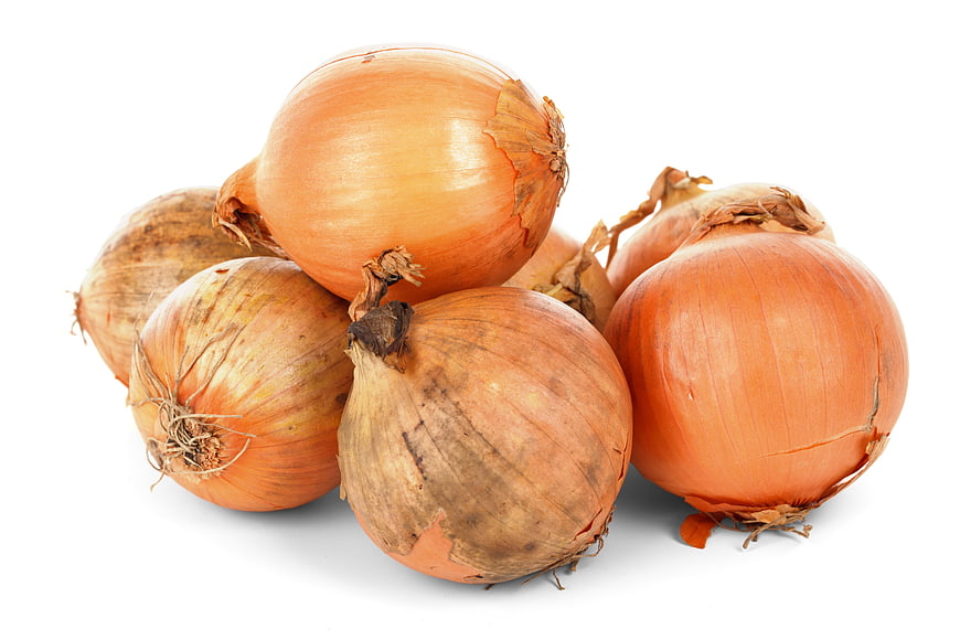 Fresh Yellow Onions Isolated on White Background