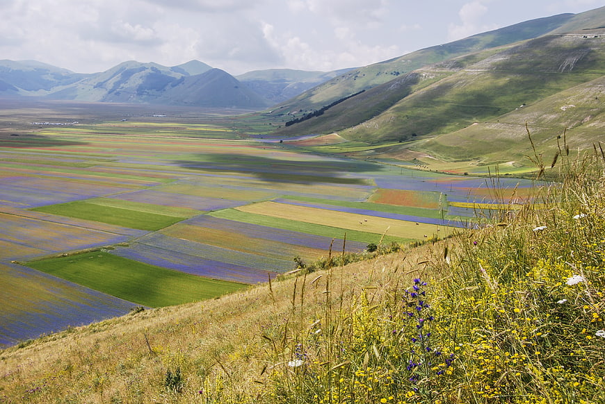 Vibrant Terraced Rice Fields in Mountain Valley Landscape
