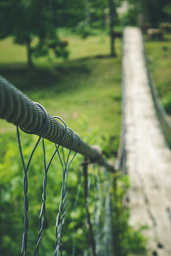 Close-up of suspension bridge cable railing in forest