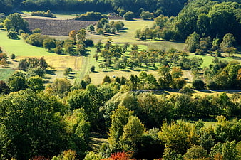 Aerial View of Rolling Green Hills and Forests in Early Autumn
