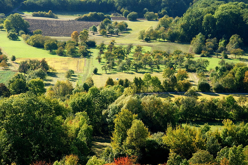Aerial View of Rolling Green Hills and Forests in Early Autumn