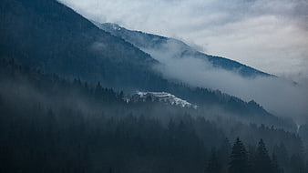 Misty Mountain Landscape with Snowy Peak and Forest