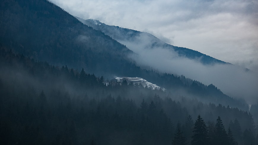 Misty Mountain Landscape with Snowy Peak and Forest
