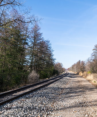 Empty Railway Tracks Curving Through Autumn Forest