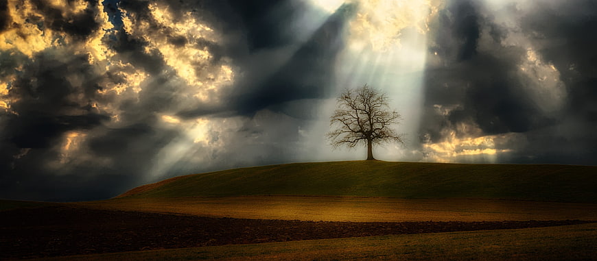 Dramatic lone tree on hill with sunbeams through storm clouds