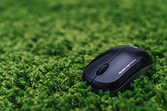 Black computer mouse on green moss background