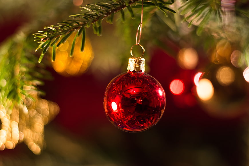 Red Christmas Bauble Hanging on Pine Branch with Warm Bokeh Lights