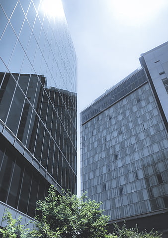 Low angle view of modern glass skyscrapers and urban architecture