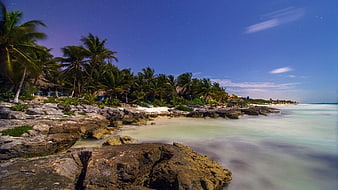 Long Exposure Tropical Beach at Night with Palm Trees and Stars