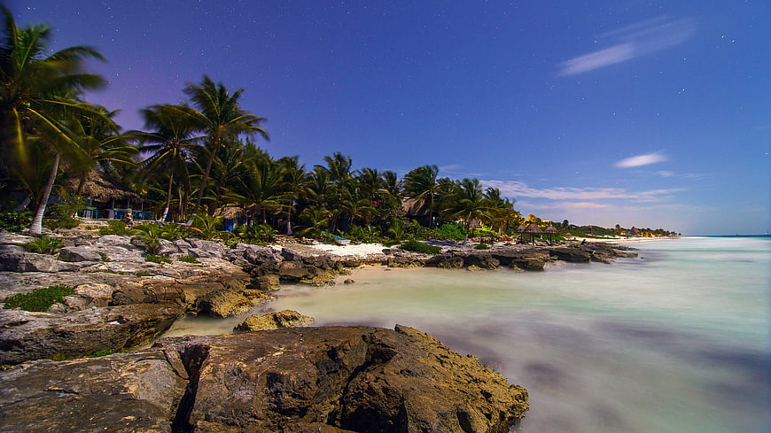 Long Exposure Tropical Beach at Night with Palm Trees and Stars