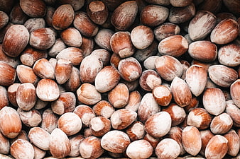 Close-up of roasted hazelnuts with natural texture