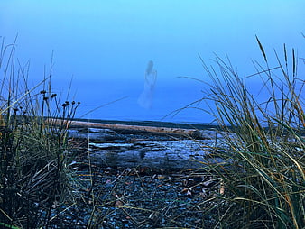 Ethereal Ghostly Figure in Foggy Coastal Landscape