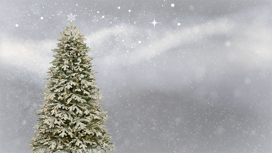 Frosted Christmas tree with snow and stars background