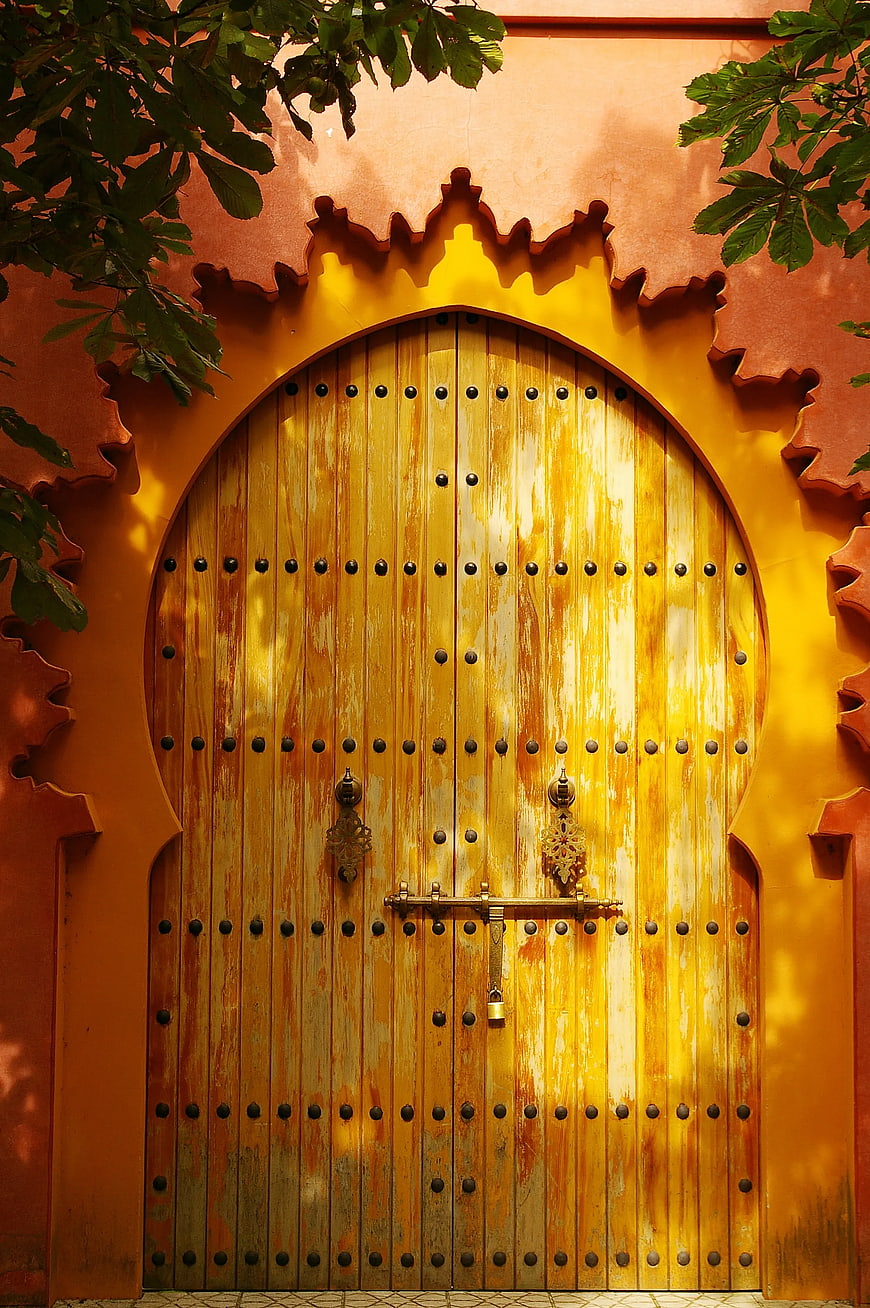 Ornate Wooden Door with Intricate Metalwork and Green Foliage