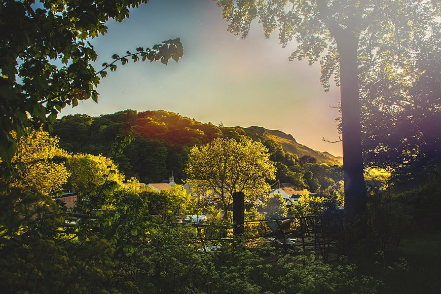Sunlit Spring Village View Through Trees
