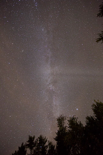 Milky Way Galaxy Over Silhouetted Forest Trees