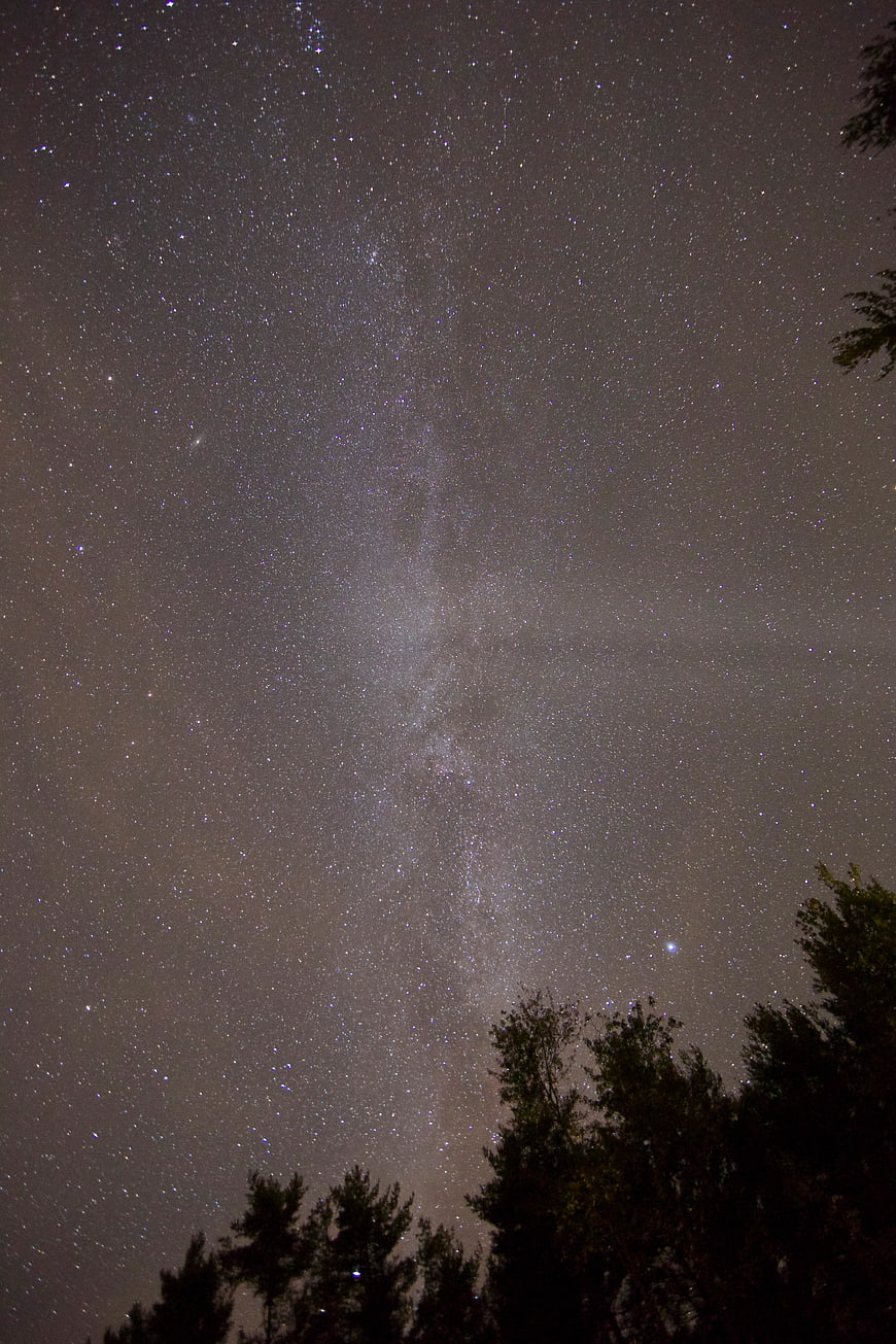 Milky Way Galaxy Over Silhouetted Forest Trees