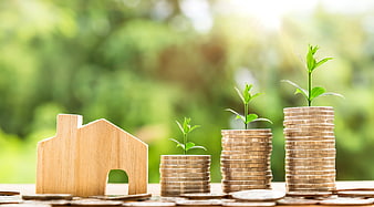 Wooden house model and growing coin stacks with plants