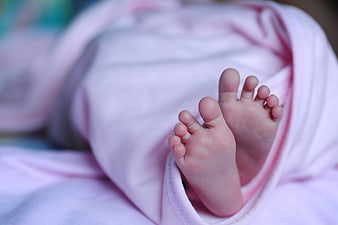 Close-up of newborn baby feet wrapped in pink blanket