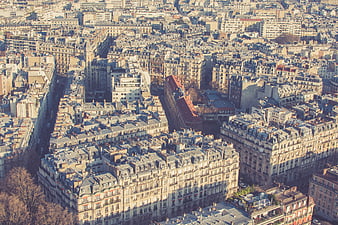 Aerial View of Parisian Rooftops and Haussmann Architecture