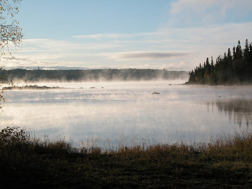 Misty Lake Morning with Forest and Fog