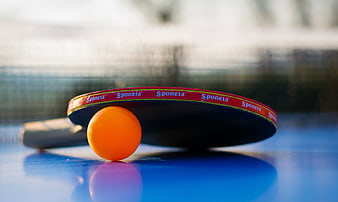 Table Tennis Paddle And Orange Ball On Blue Court Surface