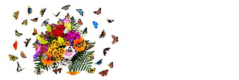 Colorful flower bouquet with butterflies on white background