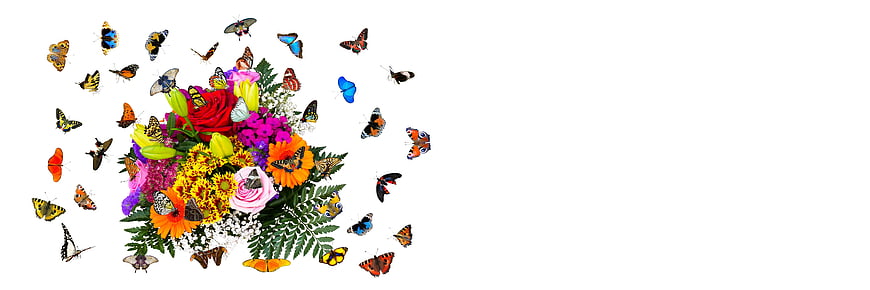 Colorful flower bouquet with butterflies on white background
