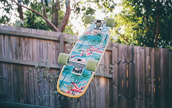Colorful Flamingo Skateboard in Backyard