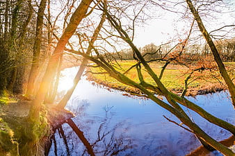 Sunlit Winter River Landscape with Bare Trees and Reflections