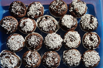 Chocolate Coconut Muffins Arranged In Blue Tray