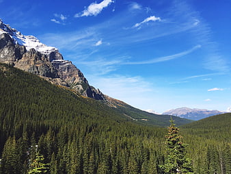 Majestic Mountain Peak with Snow and Pine Forest