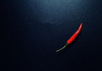 Single red chili pepper on dark textured background