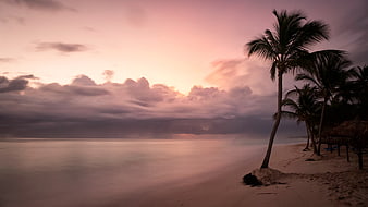 Tropical Beach Sunset with Palm Trees and Pink Sky