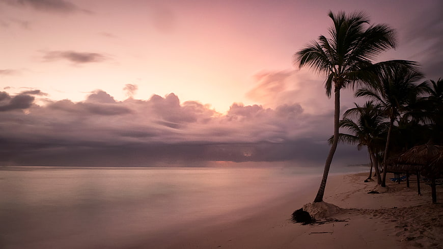 Tropical Beach Sunset with Palm Trees and Pink Sky