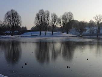 Serene Frozen Lake with Tree Reflections in Winter Morning