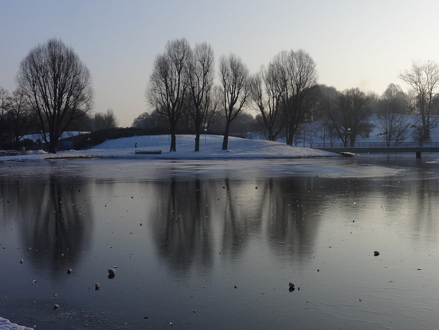 Serene Frozen Lake with Tree Reflections in Winter Morning