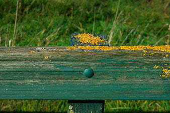 Weathered Green Wooden Fence Post With Yellow Lichen In Pasture