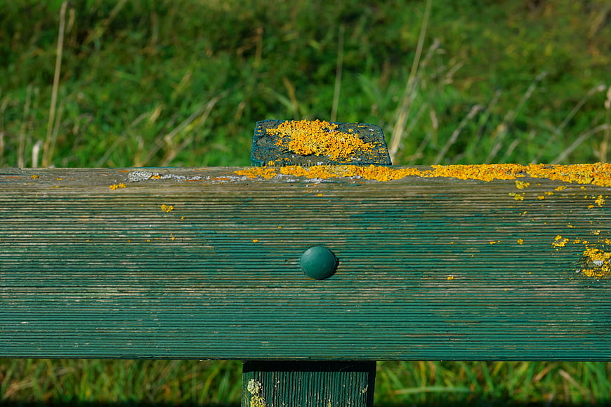 Weathered Green Wooden Fence Post With Yellow Lichen In Pasture