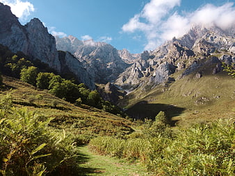 Alpine Mountain Valley Landscape With Rocky Peaks And Green Meadow