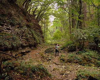 Hiker with backpack walking on rocky forest trail in Italy