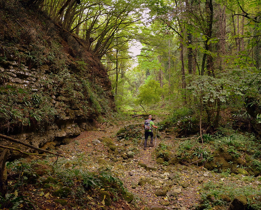 Hiker with backpack walking on rocky forest trail in Italy