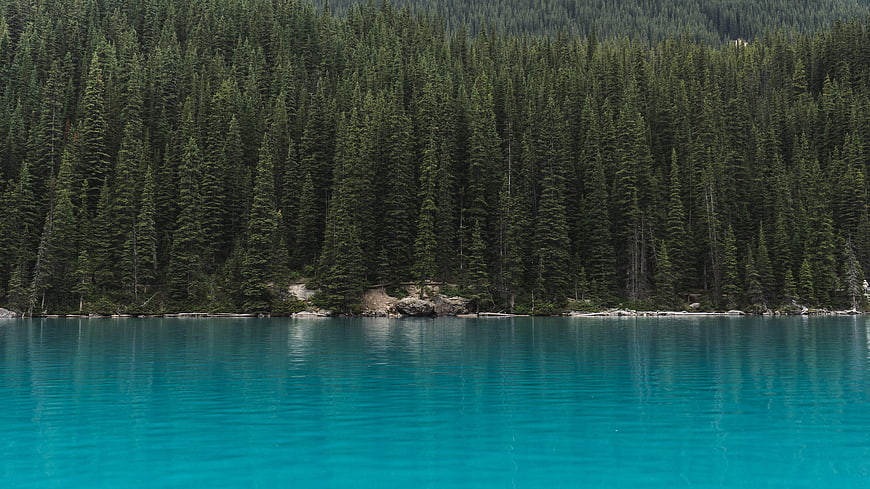 Turquoise lake water reflecting dense evergreen conifer forest