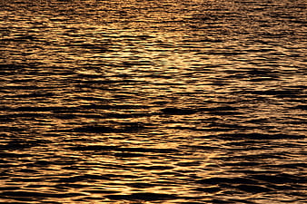 Golden Sunset Reflections on Rippled Water Surface