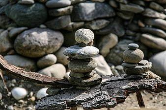 Balanced stone stacks on driftwood branch