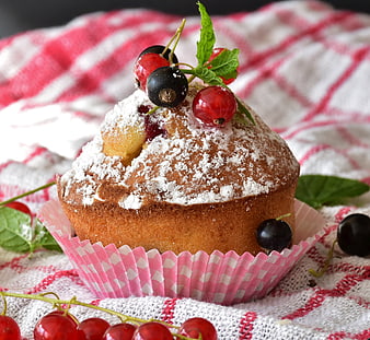 Fresh Berry Muffin with Powdered Sugar on Checkered Cloth