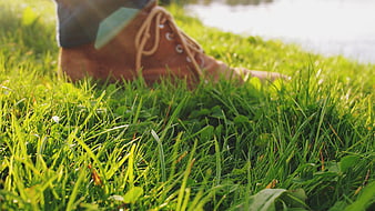 Close-up of brown hiking boot on green grass near water